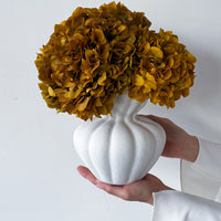AURELIA PRESERVED AUTUMN HYDRANGEA IN WHITE VASE