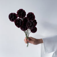 PRESERVED SCABIOSA | DEEP PURPLE