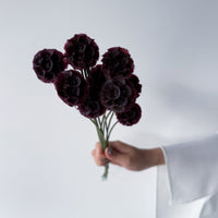 PRESERVED SCABIOSA | DEEP PURPLE