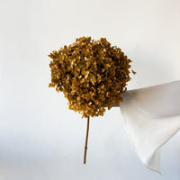 PRESERVED HYDRANGEA STEM | NATURAL | SMALL-LEAF