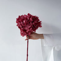 PRESERVED HYDRANGEA STEM I WINE RED I LARGE-LEAF