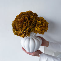 AURELIA PRESERVED AUTUMN HYDRANGEA IN WHITE VASE