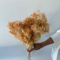 PRESERVED BABY'S BREATH | SOFT YELLOW