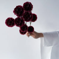 PRESERVED SCABIOSA | DEEP ROSE PINK
