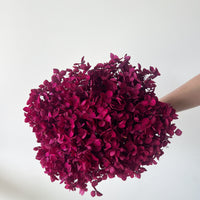 PRESERVED HYDRANGEA STEM | DEEP FUSCHIA | SMALL-LEAF