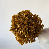 PRESERVED HYDRANGEA STEM | NATURAL | SMALL-LEAF