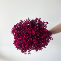 PRESERVED HYDRANGEA STEM | DEEP FUSCHIA | SMALL-LEAF