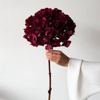 PRESERVED HYDRANGEA STEM I RASPBERRY I LARGE-LEAF