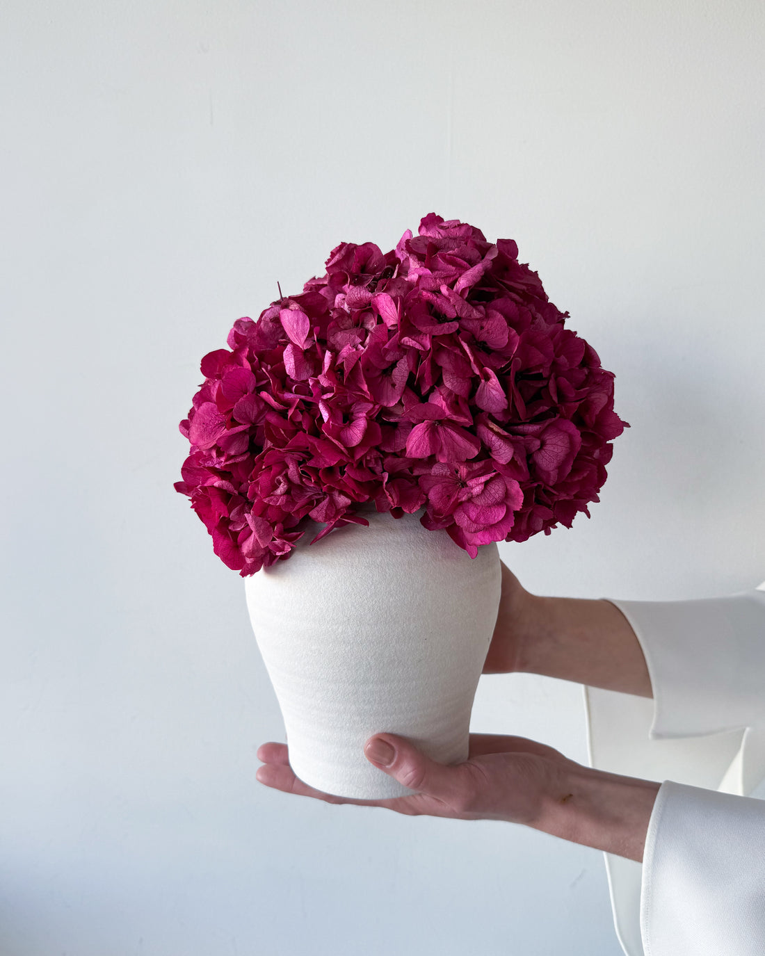 LUNA PRESERVED HYDRANGEA ARRANGEMENT IN WHITE HERAMA POT | FUSCHIA LARGE-LEAF