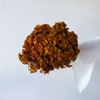 PRESERVED HYDRANGEA STEM | TOFFEE | SMALL-LEAF