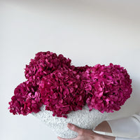 CHARLOTTE FUCHSIA PRESERVED HYDRANGEAS IN SALT CRUST COSSE VASE