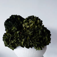 CHARLOTTE | OLIVE-GREEN PRESERVED HYDRANGEAS IN THEO VASE