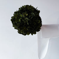 PRESERVED HYDRANGEA STEM I OLIVE GREEN I LARGE-LEAF