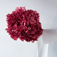 PRESERVED HYDRANGEA STEM I WINE RED I LARGE-LEAF