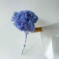 PRESERVED HYDRANGEA STEM I LAKE BLUE I LARGE-LEAF