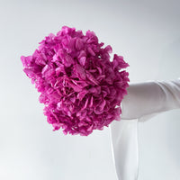 PRESERVED HYDRANGEA STEM I FUCHSIA I LARGE-LEAF