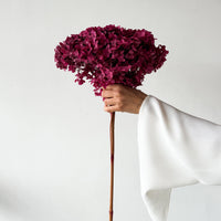PRESERVED HYDRANGEA STEM I DEEP FUCHSIA I SMALL-LEAF