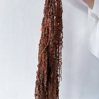 PRESERVED AMARANTHUS | BRONZE