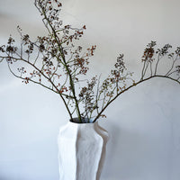 DRIED ROSEBERRY FOLIAGE