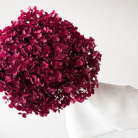 PRESERVED HYDRANGEA STEM I DEEP FUCHSIA I SMALL-LEAF