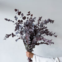 PRESERVED GUM | BURGUNDY