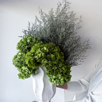 HARPER OMBRE-GREEN