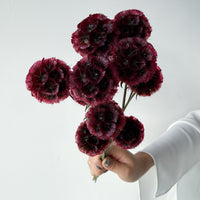 PRESERVED SCABIOSA | DEEP ROSE PINK