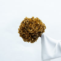 PRESERVED HYDRANGEA STEM I NATURAL | LARGE-LEAF