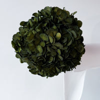 PRESERVED HYDRANGEA STEM I OLIVE GREEN I LARGE-LEAF