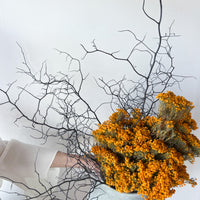 SANDRA DRIED FLOWER ARRANGEMENT