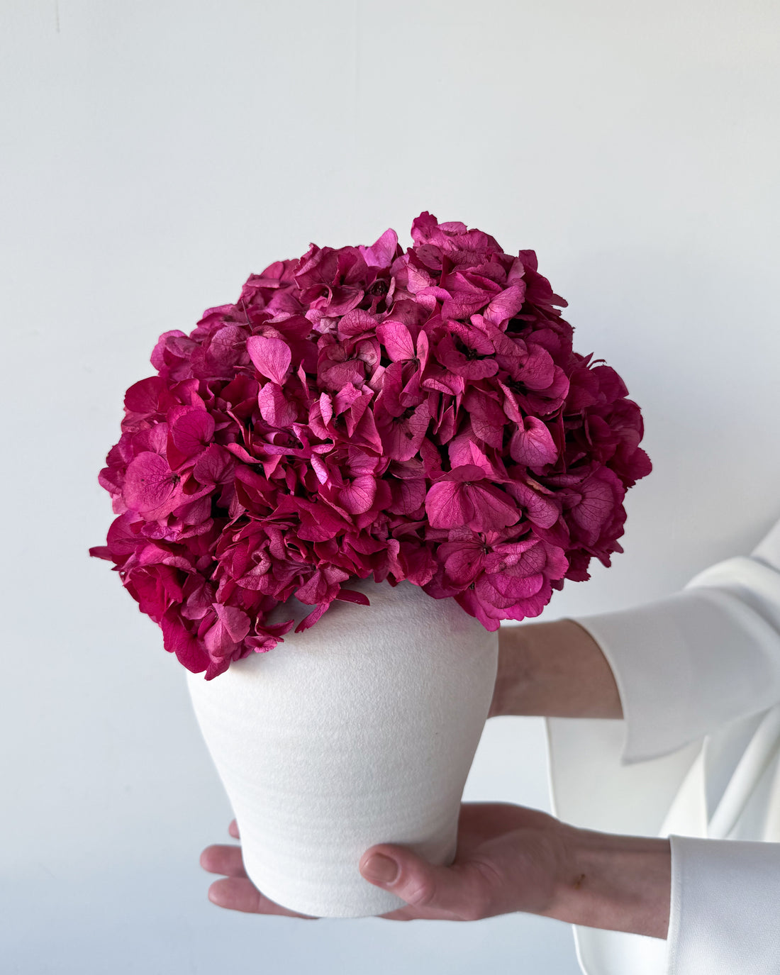 LUNA PRESERVED HYDRANGEA ARRANGEMENT IN WHITE HERAMA POT | FUSCHIA LARGE-LEAF