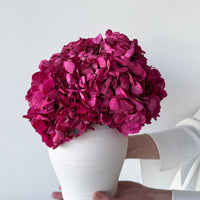 LUNA PRESERVED HYDRANGEA ARRANGEMENT IN WHITE HERAMA POT | FUSCHIA LARGE-LEAF