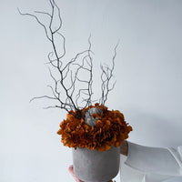THE MAHA | LARGE-LEAF BURNT ORANGE