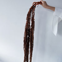 PRESERVED AMARANTHUS | BRONZE