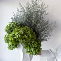 HARPER OMBRE-GREEN