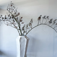 DRIED ROSEBERRY FOLIAGE