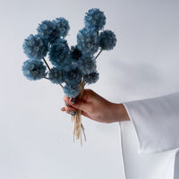 PRESERVED SCABIOSA | GREY BLUE