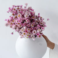 Elodie preserved flower arrangement detail
