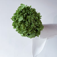 PRESERVED HYDRANGEA STEM I ARMY GREEN I LARGE-LEAF