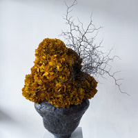 ELIZABETH PRESERVED FLOWER ARRANGEMENT IN ASILAH VASE | AUTUMN