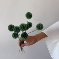 PRESERVED SCABIOSA | FOREST GREEN
