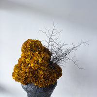 ELIZABETH PRESERVED FLOWER ARRANGEMENT IN ASILAH VASE | AUTUMN