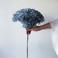 PRESERVED HYDRANGEA STEM I GREY-BLUE I SMALL-LEAF