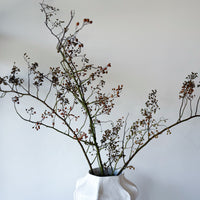 DRIED ROSEBERRY FOLIAGE