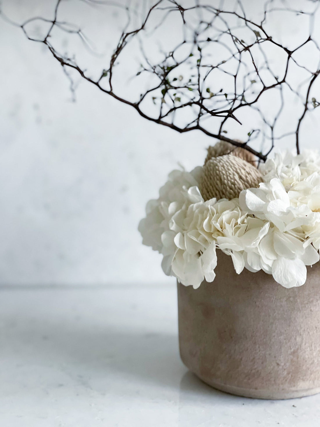 PRE ORDER LATE NOVEMBER THE MAHA - LARGE-LEAF WHITE