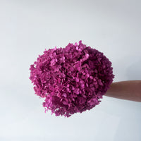 PRESERVED HYDRANGEA STEM I FUCHSIA I SMALL-LEAF