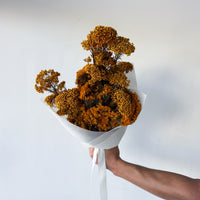 ELORA PRESERVED FLOWER BOUQUET