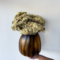 AURORA PRESERVED FLOWER ARRANGEMENT