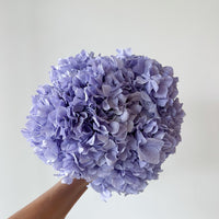 PRESERVED HYDRANGEA STEM I LAVENDER I LARGE-LEAF I