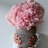 LUNA PRESERVED HYDRANGEA ARRANGEMENT IN HERAMA POT